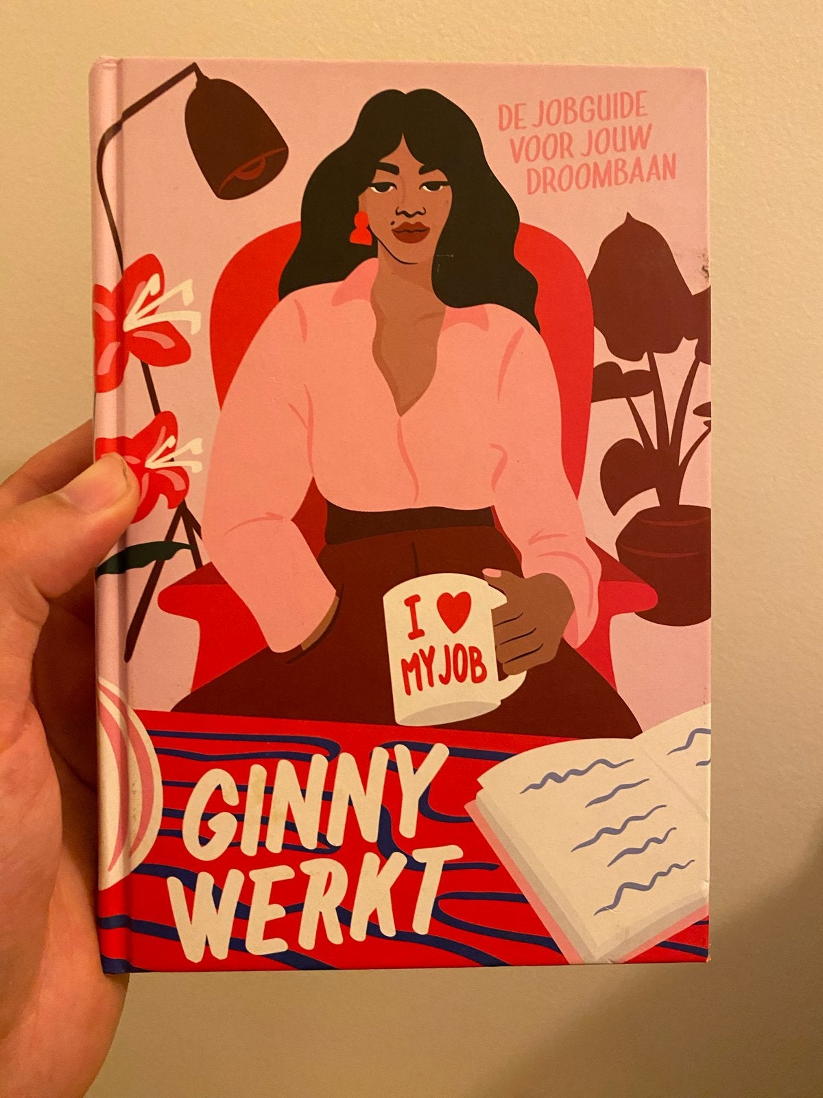 Ginny Werkt: De Jobguide voor jouw Droombaan, Ophalen of Verzenden, Zo goed als nieuw
