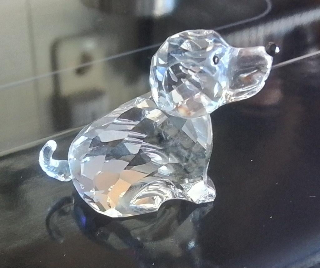 2 Swarovski hondjes , Beagle puppies, Verzamelen, Swarovski, Ophalen of Verzenden, Zo goed als nieuw, Figuurtje
