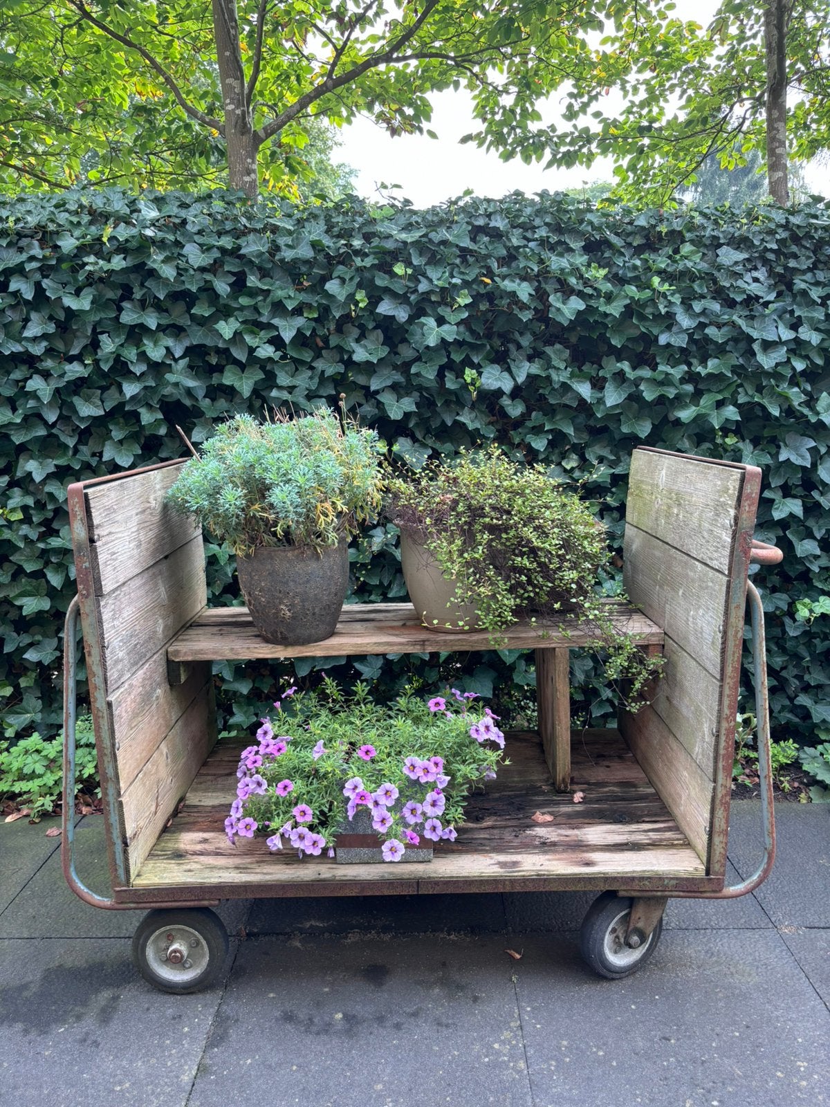 Leuke plantentafel kar, Ophalen, Gebruikt