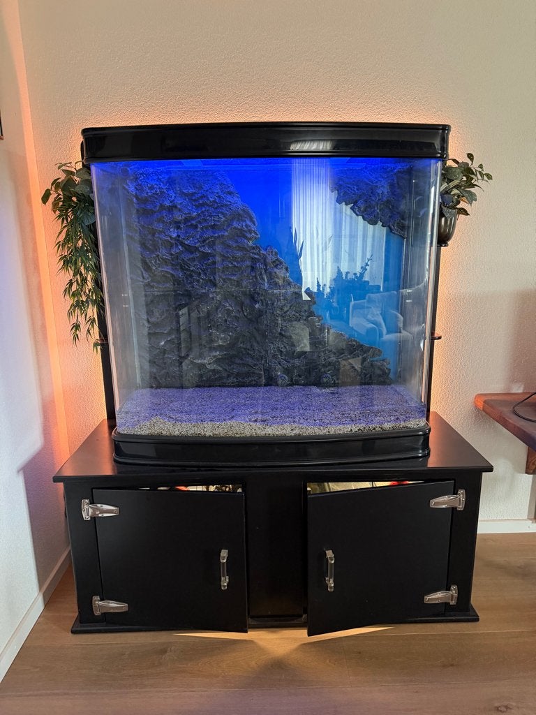 Aquarium, Dieren en Toebehoren, Vissen | Aquaria en Toebehoren, Ophalen, Gebruikt, Overige merken, Inclusief deksel