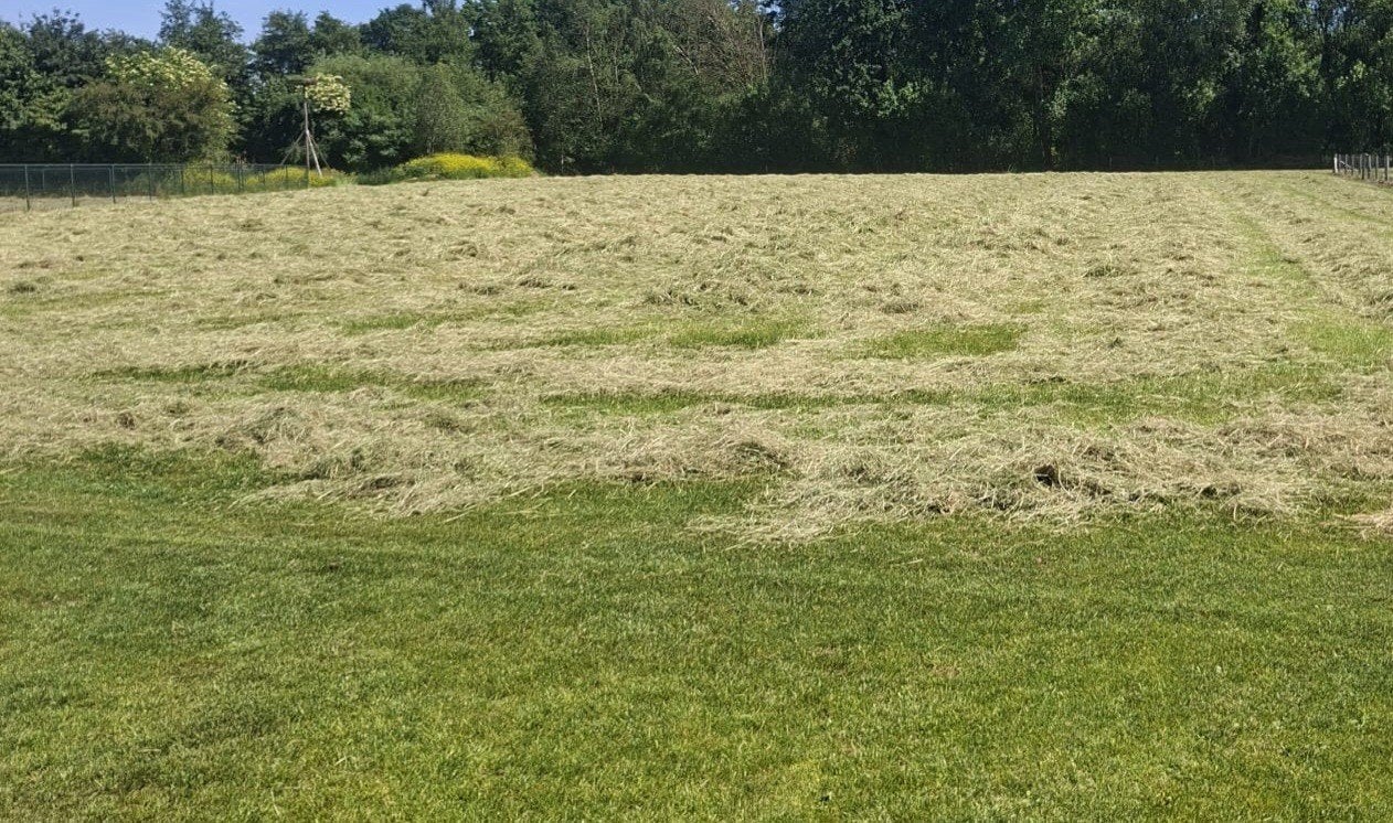 Kleine pakjes hooi, geperst op 14 juli, Ophalen