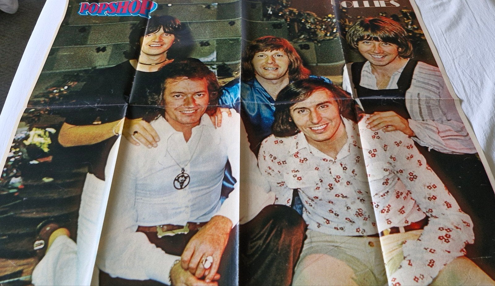 the hollies Vintage Pop Poster - Popshop, Ophalen of Verzenden, A1 t/m A3, Muziek, Rechthoekig Staand