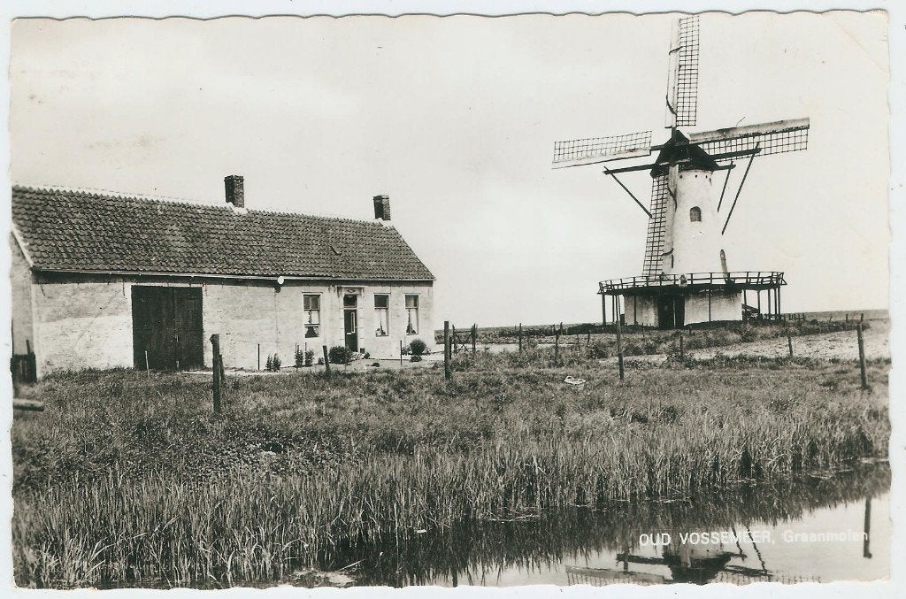 Oud Vossemeer Graanmolen 1965 molen De Jager, Ophalen of Verzenden, 1960 tot 1980, Ongelopen, Zeeland