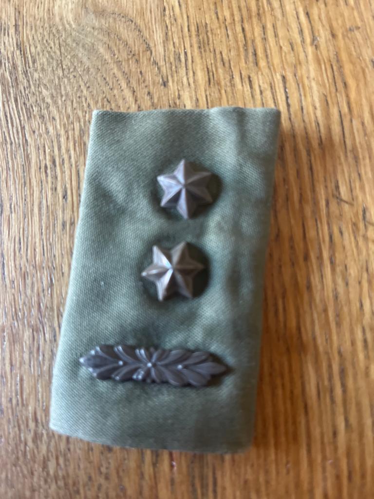 Militair embleem Landmacht - Sterren en takken, Ophalen of Verzenden, Landmacht, Overige gebieden, Embleem of Badge