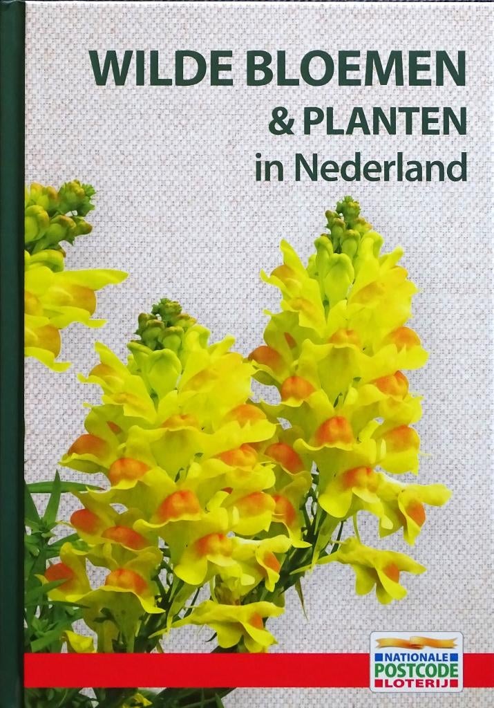 WILDE BLOEMEN & PLANTEN IN NEDERLAND – 4de ITEM GRATIS, Boeken, Natuur, Nieuw, Bloemen, Planten en Bomen, Ophalen of Verzenden