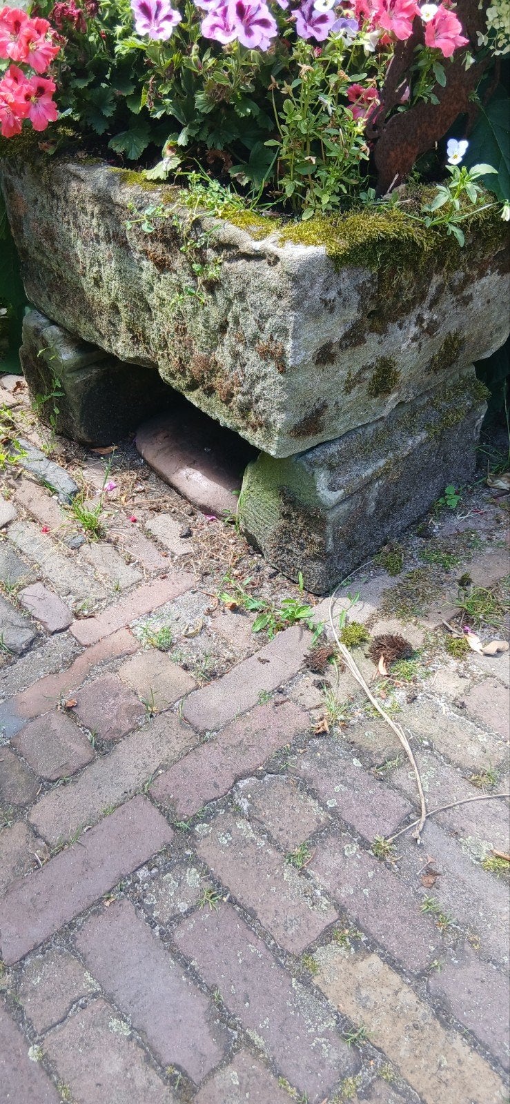 Bentheimer / trog  sokkels niet de bak, Tuin en Terras, Steen, Gebruikt, Ophalen of Verzenden, Balkon