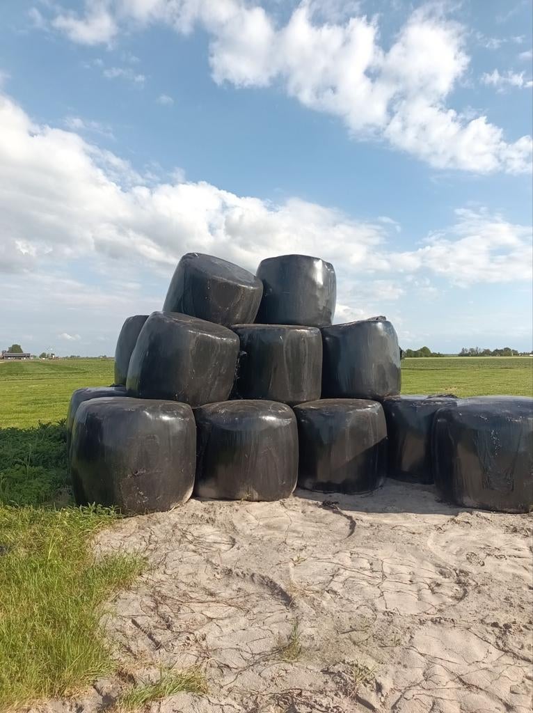 Jongvee kwaliteit kuilbalen 2025 - 21 stuks, Ophalen