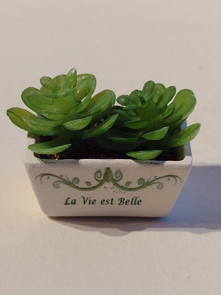 plantenbak met planten en tekst 'la vie est belle ' - Fenni, Ophalen, Nieuw, Decoratie