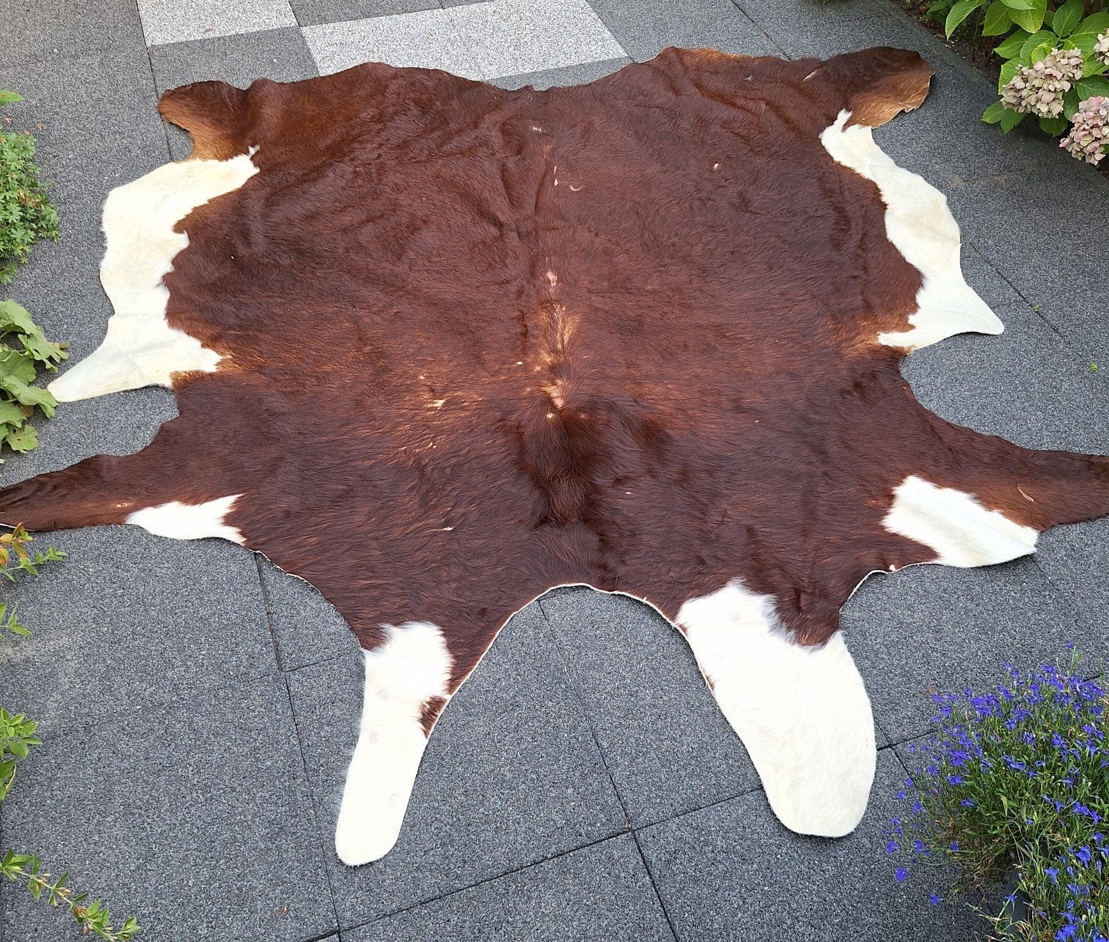 Koeienhuid vloerkleed-mancave, Ophalen of Verzenden, Rechthoekig, 200 cm of meer