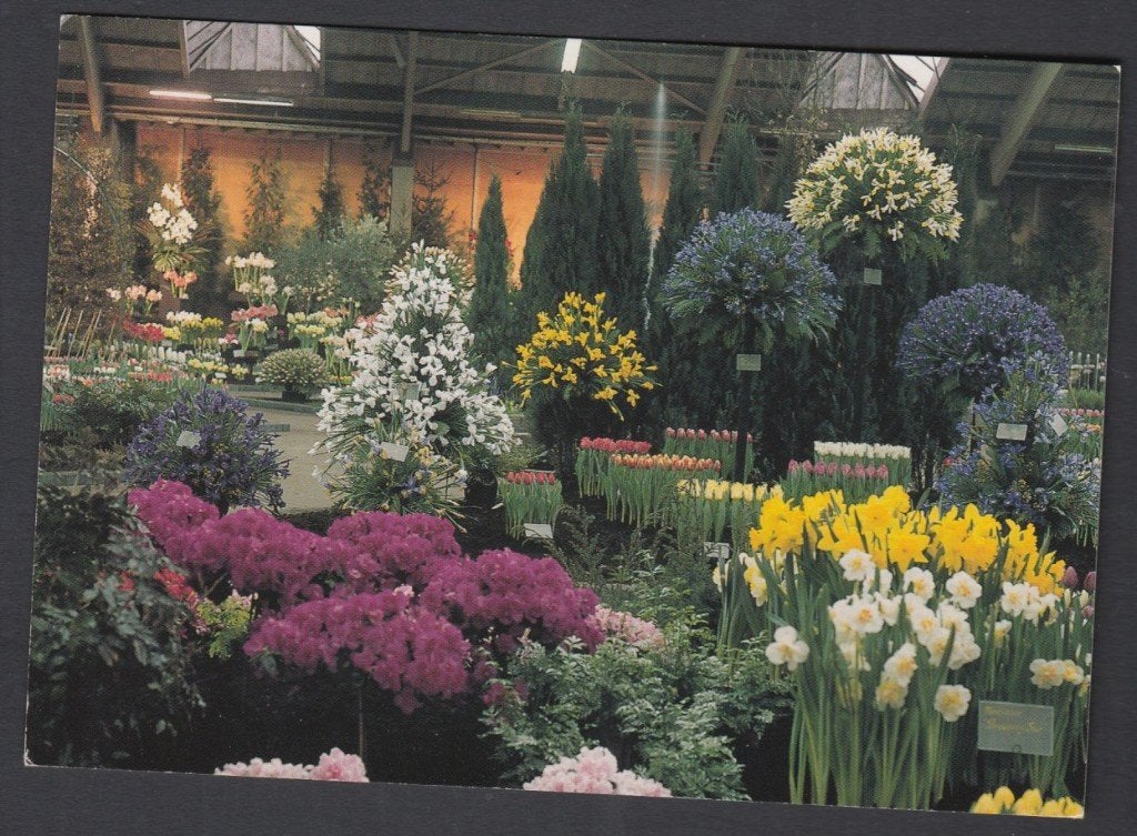 Bovenkarspel Westfriese Flora Ongelopen, Verzenden, 1980 tot heden, Ongelopen, Noord-Holland
