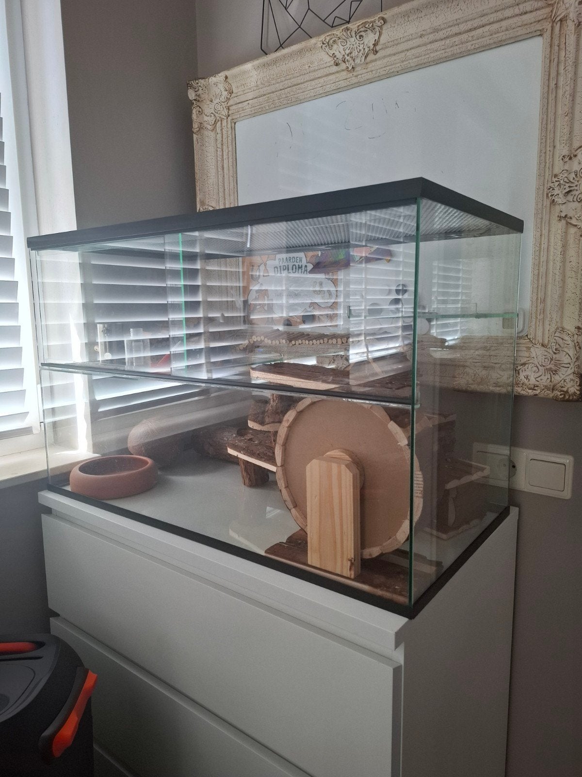 Hamster terrarium / hamsterscaping, Dieren en Toebehoren, Ophalen, Hok, Hamster, Minder dan 60 cm