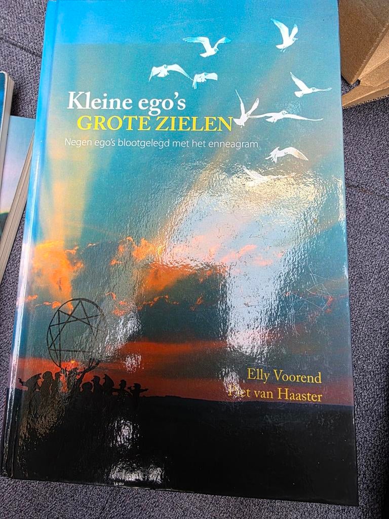 Kleine Ego's Grote zielen., Ophalen of Verzenden, Gelezen, Achtergrond en Informatie
