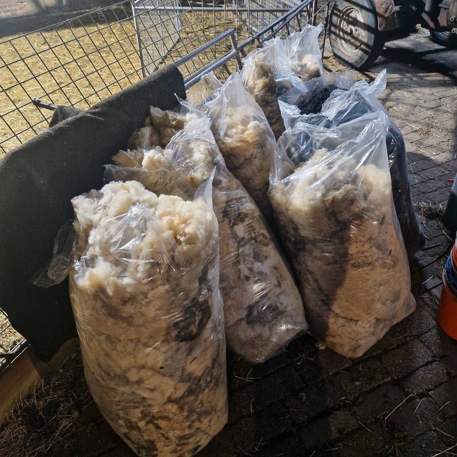 Schapenwol, Dieren en Toebehoren, Ophalen of Verzenden