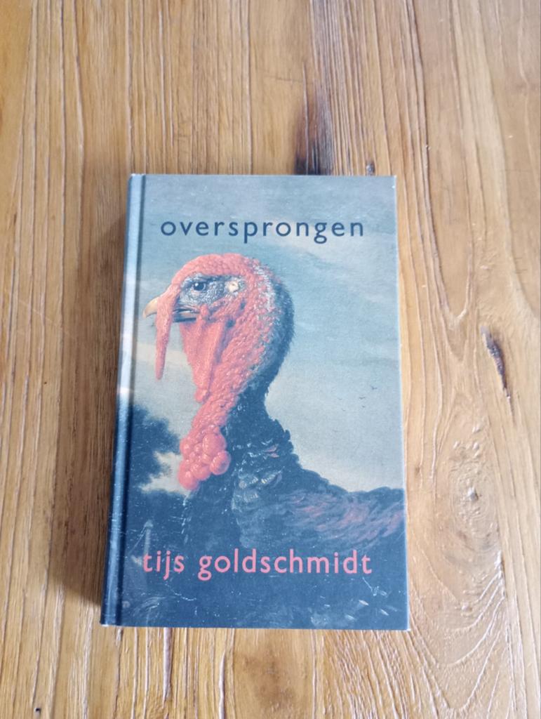 Oversprongen - Tijs Goldschmidt, Boeken, Ophalen of Verzenden, Gelezen