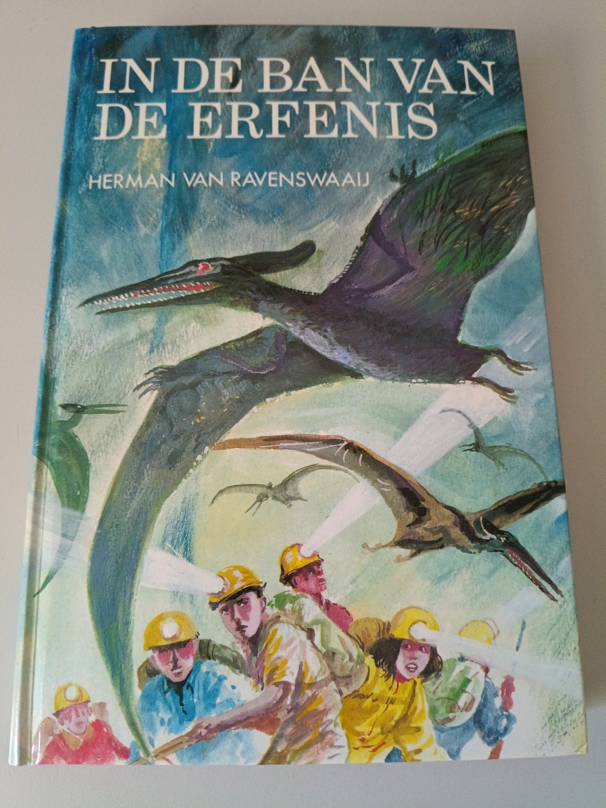 In de ban van de erfenis - Herman van Ravenswaaij, Ophalen of Verzenden