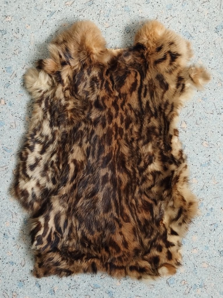 Dit mooie konijnen bontje is bv. decoratief te gebruiken., Geslacht onbekend, Klein