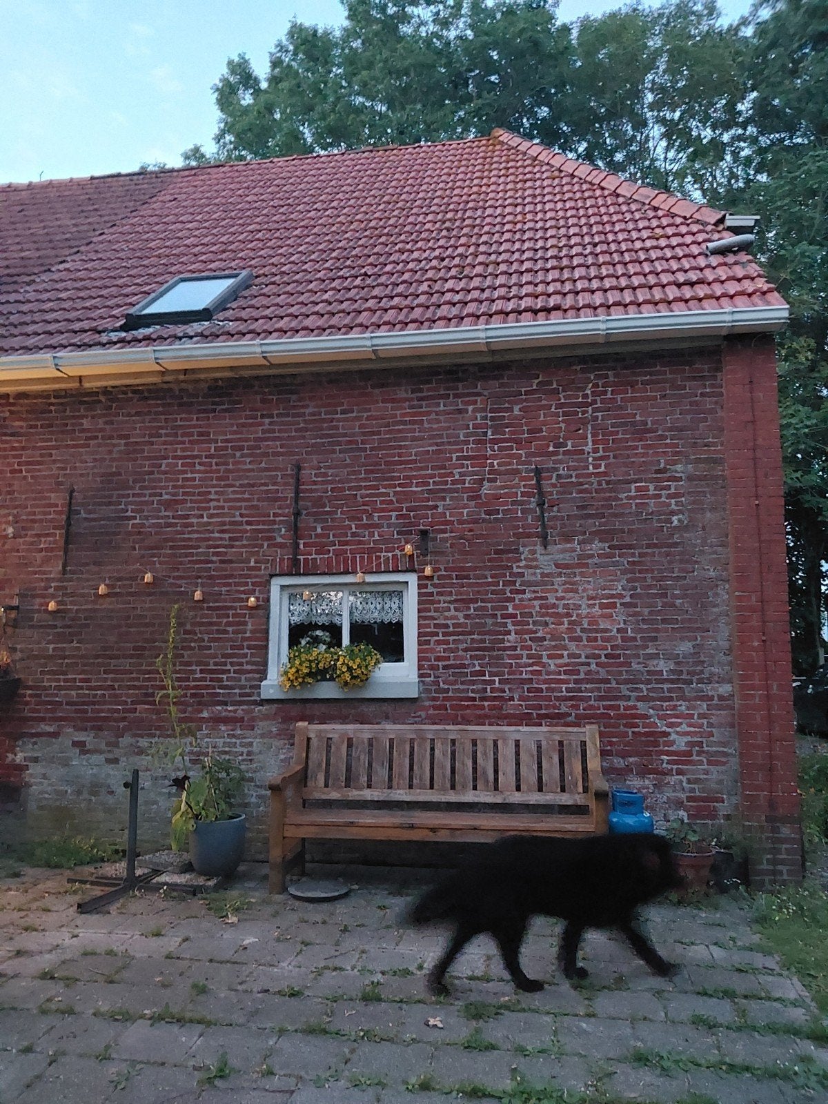 mooie oude Mulden dakpannen igst, Tuin en Terras, Tuinhuizen, Ophalen, Gebruikt