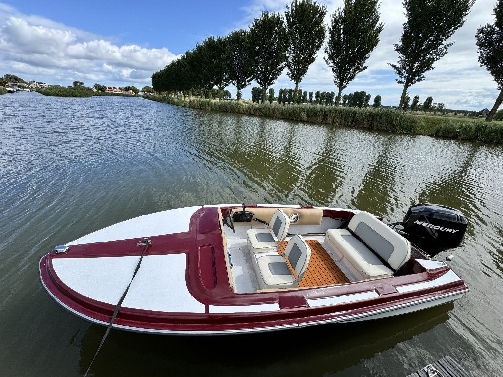 Placom T460 – Mercury 50 PK – Inclusief trailer, Ophalen, Buitenboordmotor, Met afstandsbediening