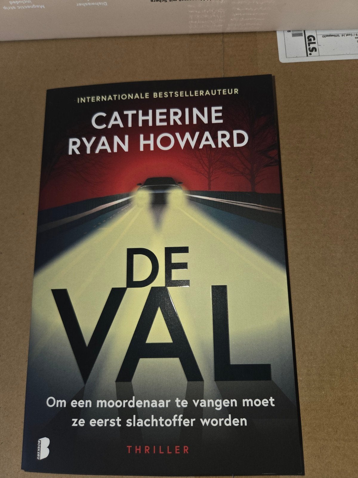 De Val - Catherine Ryan Howard - Thriller, Ophalen of Verzenden, Zo goed als nieuw, Catherine Ryan Howard, Wereld overig