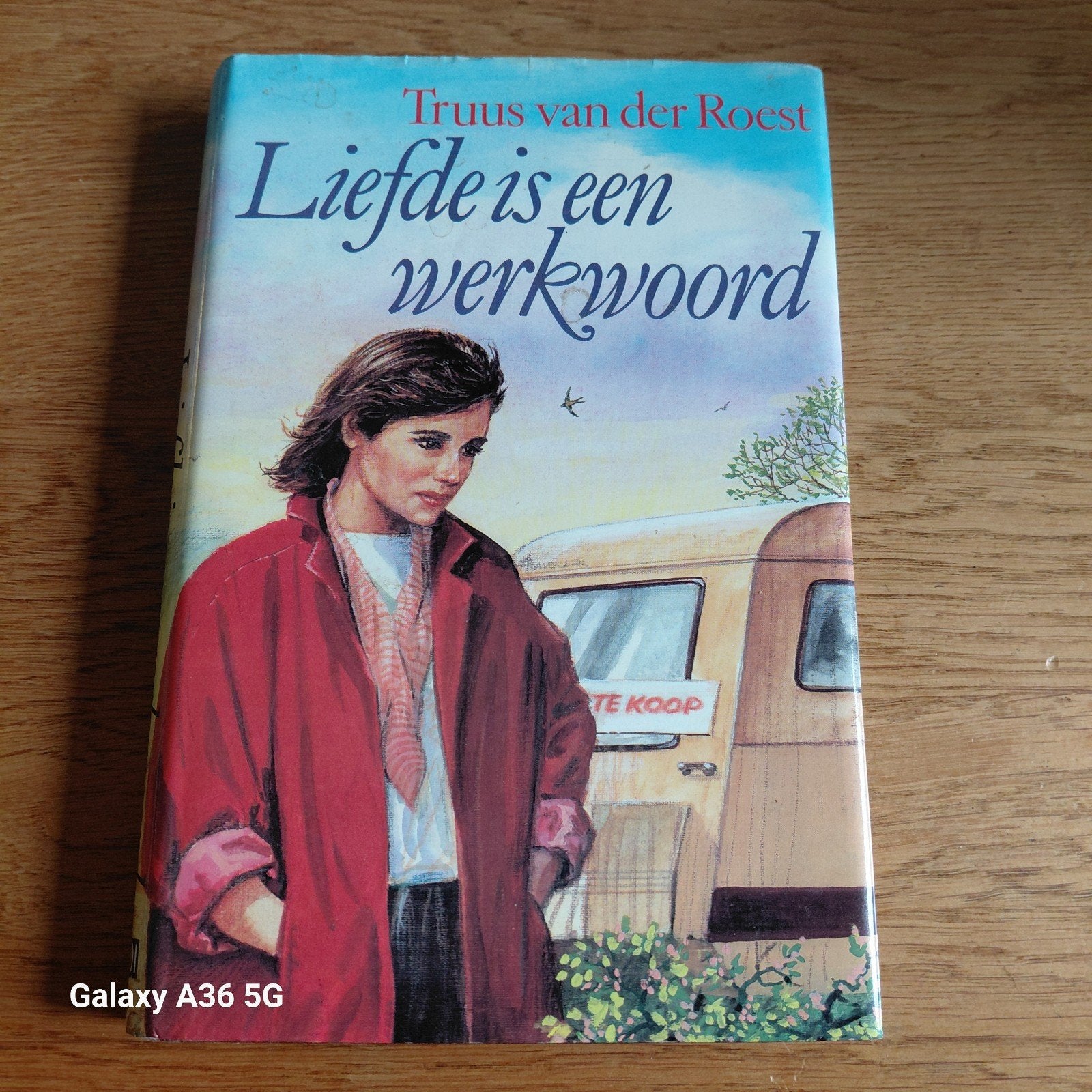 Liefde is een werkwoord - Truus van der Roest, Boeken, Ophalen of Verzenden, Gelezen, Truus van der Roest, Nederland