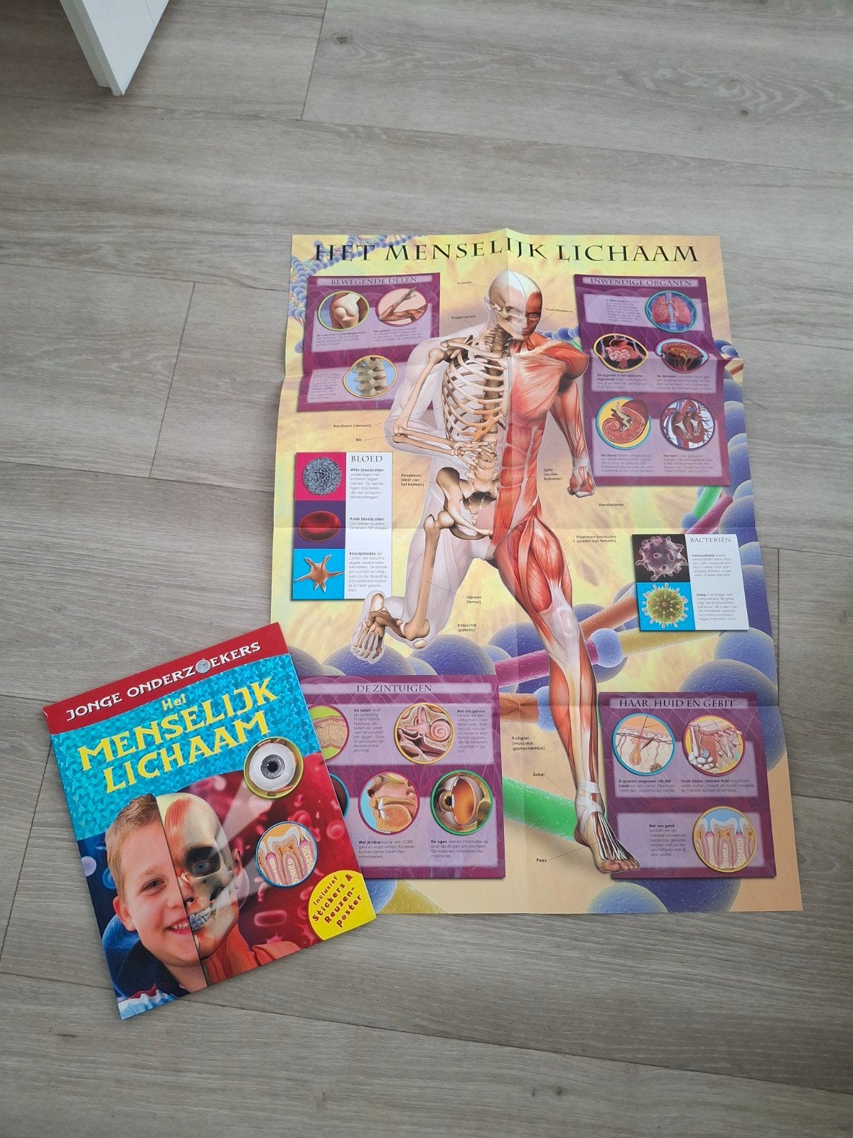 Boek Het Menselijk Lichaam met poster en stickers, Ophalen of Verzenden, Zo goed als nieuw, Onbekend, Non-fictie