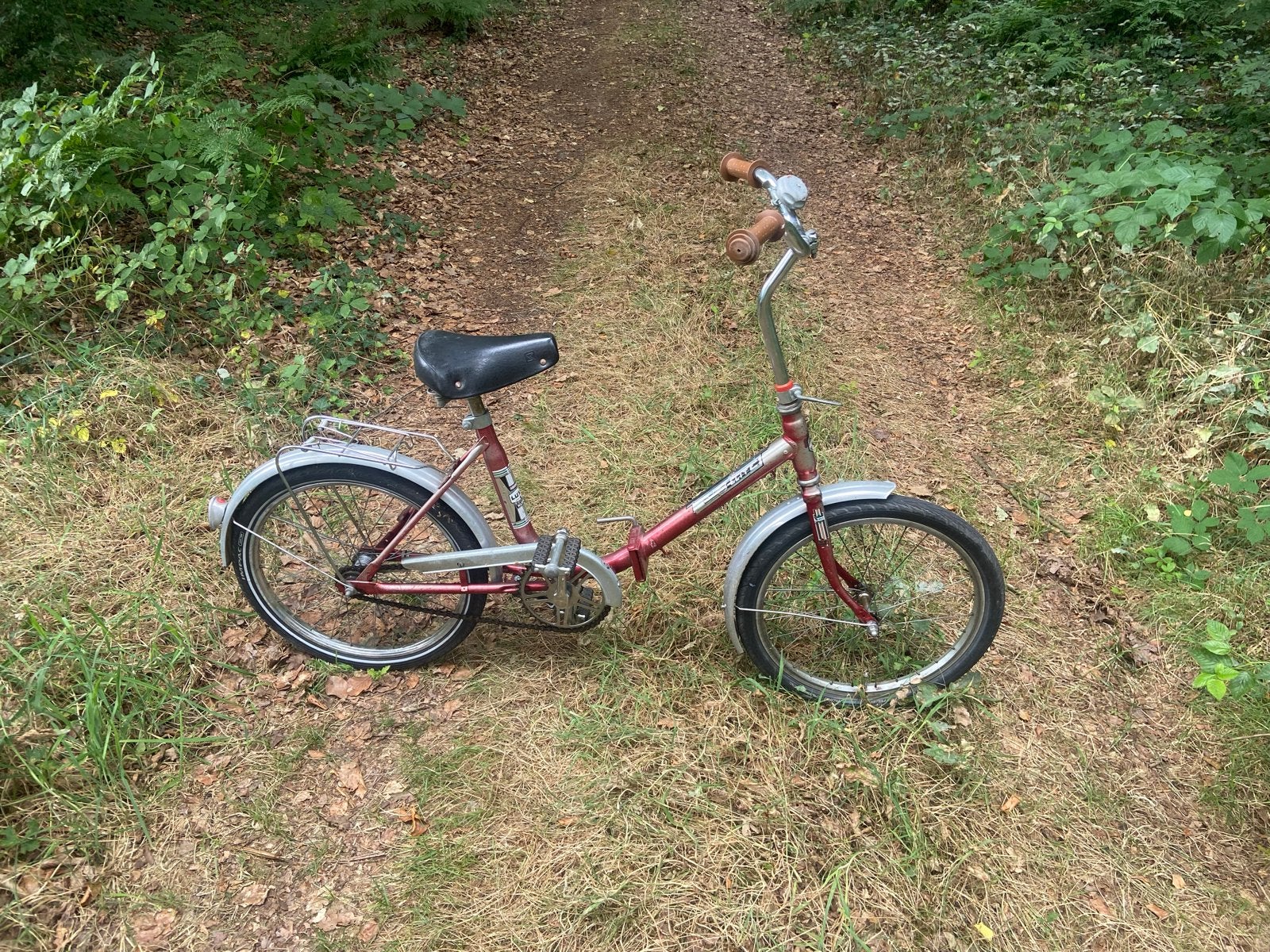 Vouwfiets, Fietsen en Brommers, Terugtraprem, Gebruikt, Versnellingen, Dames