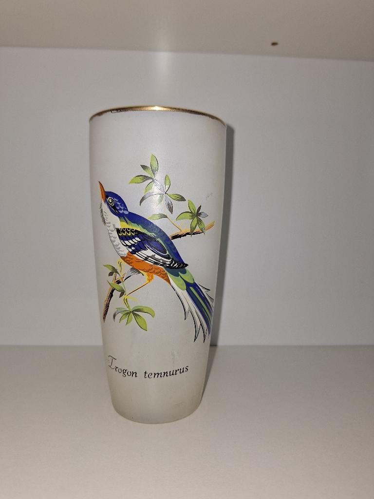 Trogon Temnurus Geschilderd Glas 14 cm, Ophalen