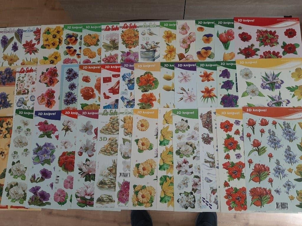 mooie bloem knipvellen  totaal 40 stuks, Verzenden, Nieuw, Natuur