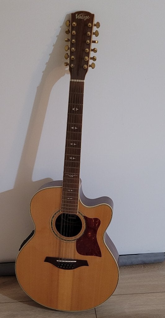 Semi- acoustische gitaar, Muziek en Instrumenten, Ophalen, Gebruikt, Western- of Steelstringgitaar, 12-snarig