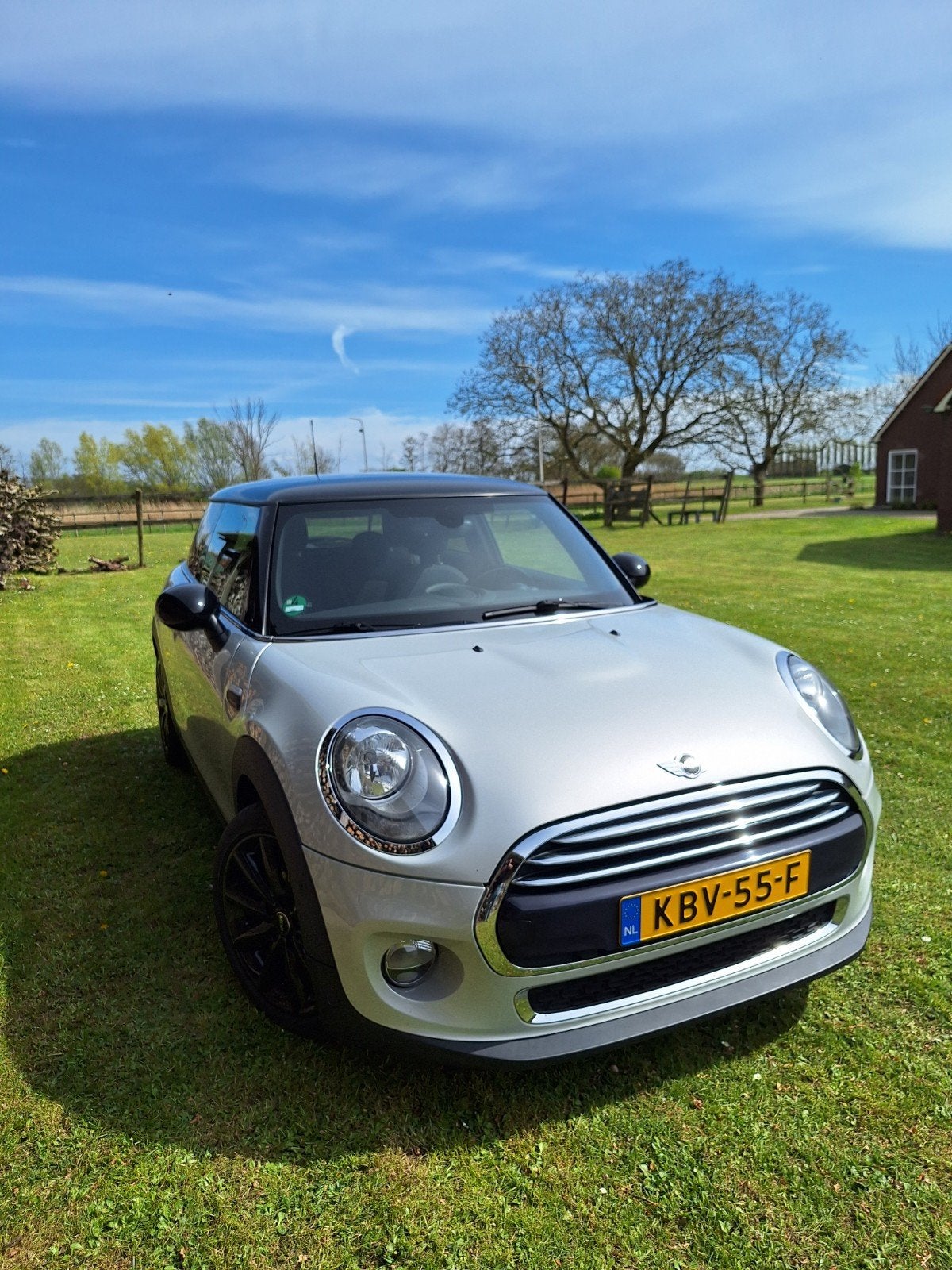Mini 1.5 Cooper 2017 Wit