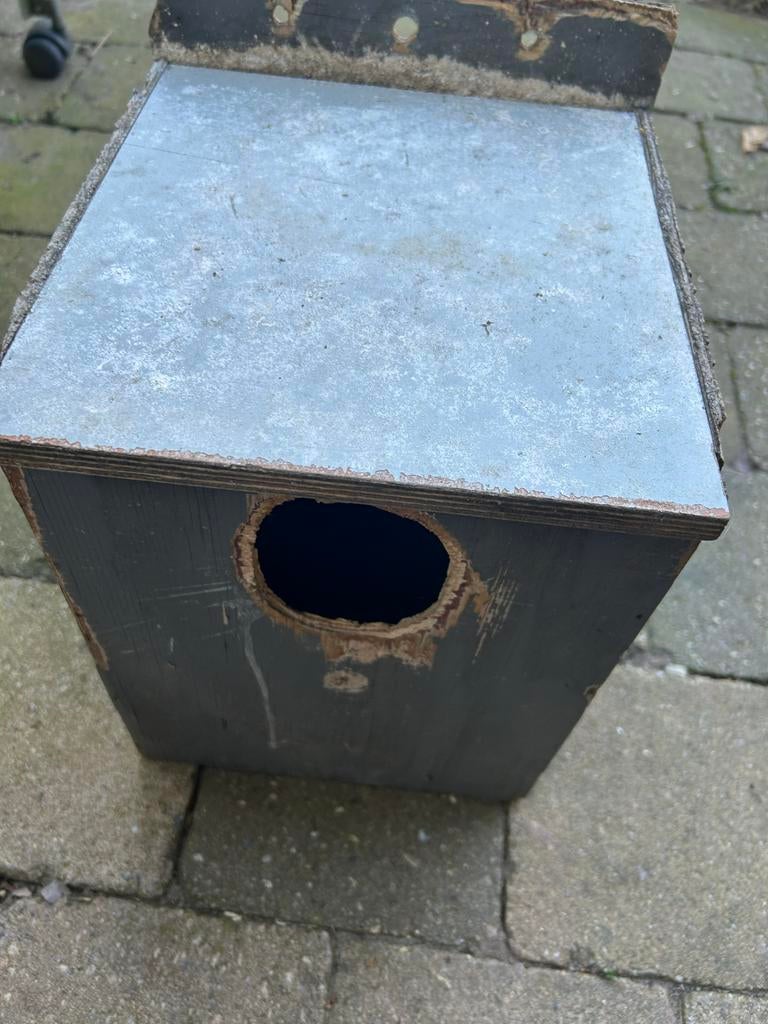 Broedblok nestblok (grote) vogels, Dieren en Toebehoren, Ophalen