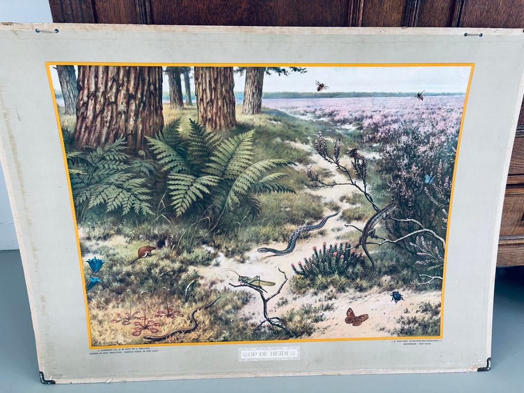 Schoolplaat 'Op de heide' - M.A. Koekkoek, Antiek en Kunst, Antiek | Schoolplaten, Natuur en Biologie, Ophalen of Verzenden