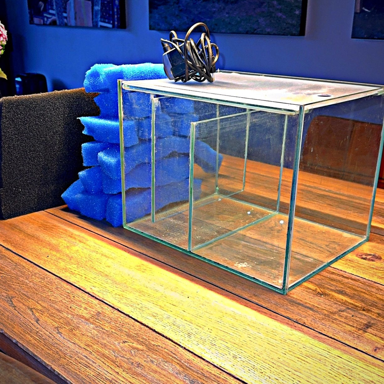 Bioloog / Sump Filteropstelling voor Aquarium + Toebehoren, Ophalen, Zo goed als nieuw