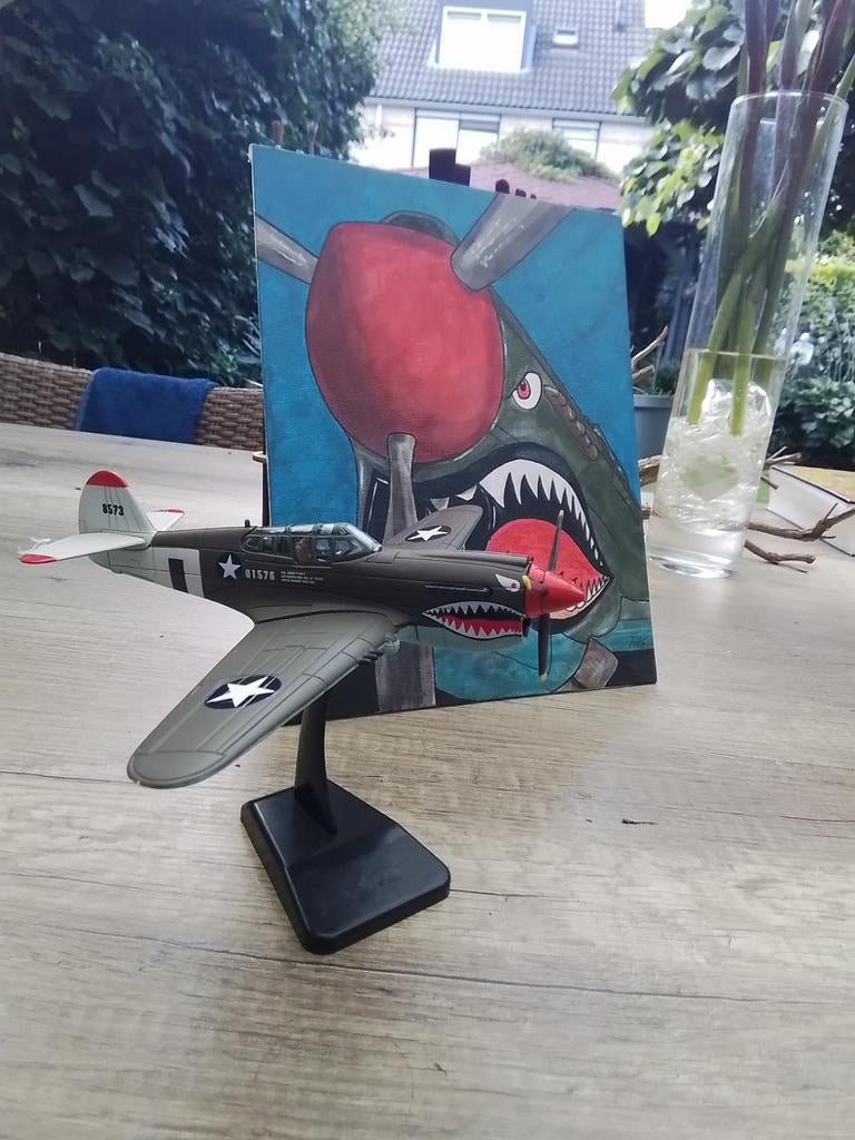 Kitty Hawk Flying Tiger vliegtuig plus schilderij, Ophalen of Verzenden