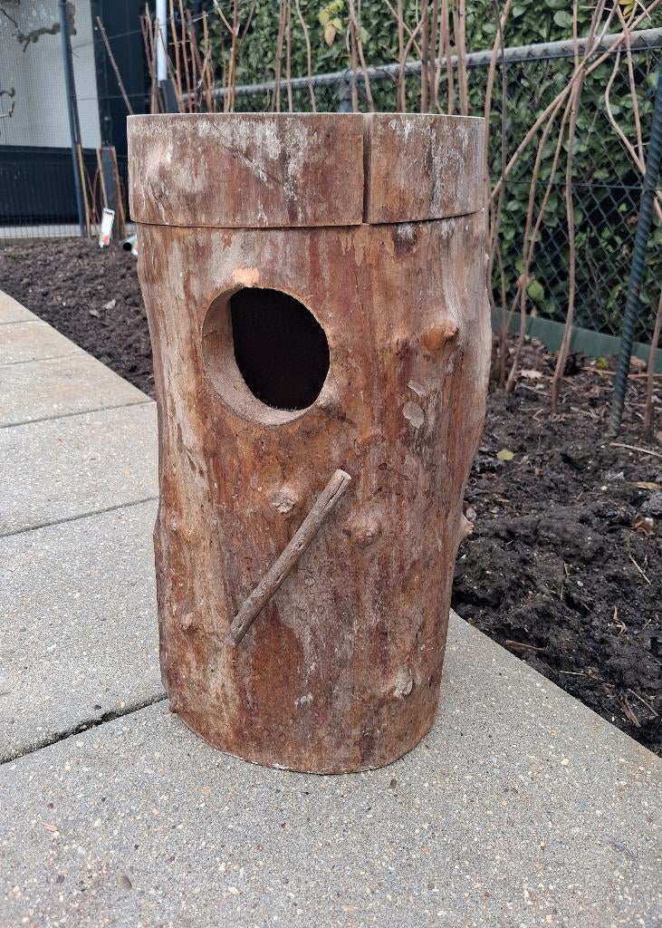broedblok, Meerdere dieren, Parkiet