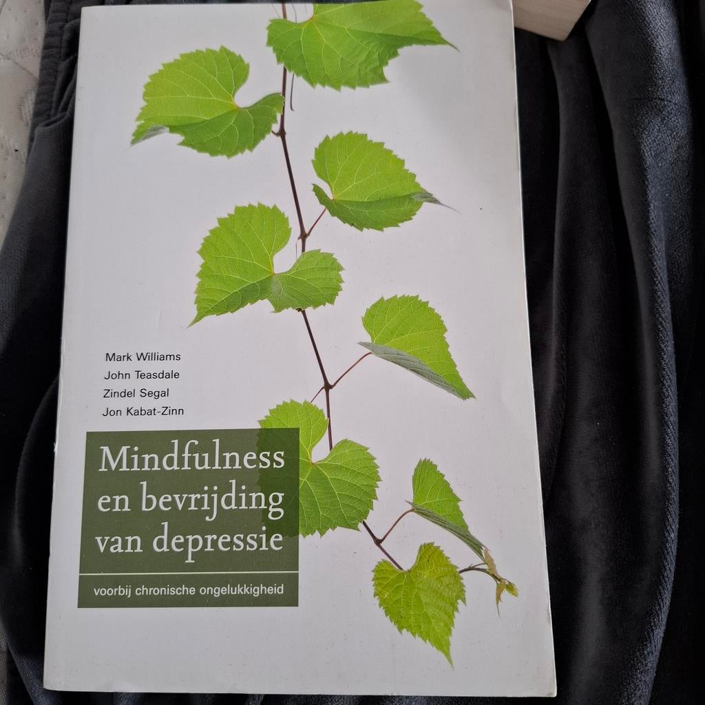 Mark Williams - Mindfulness en bevrijding van depressie, Ophalen of Verzenden, Zo goed als nieuw, Mark Williams