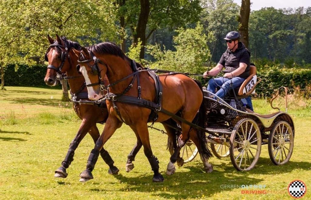 Betuigen paard en pony.