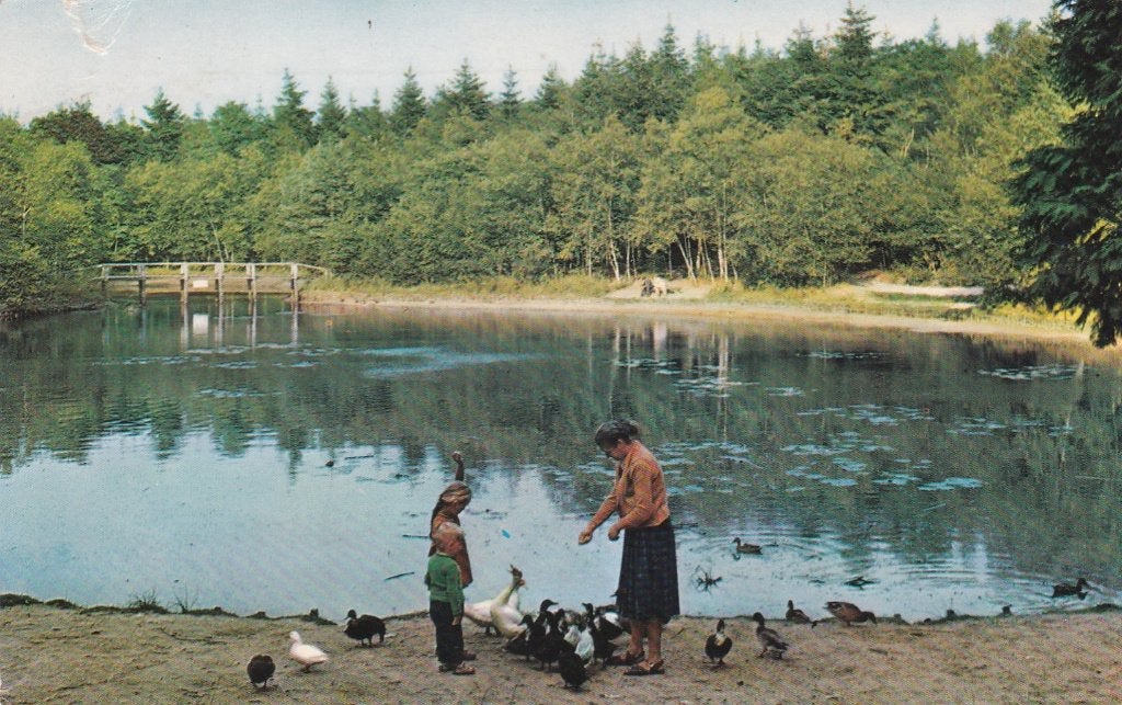 18879 Oudemirdum Vijver gelopen 1964 Friesland Nijemirdum, Verzenden, 1960 tot 1980, Gelopen, Friesland