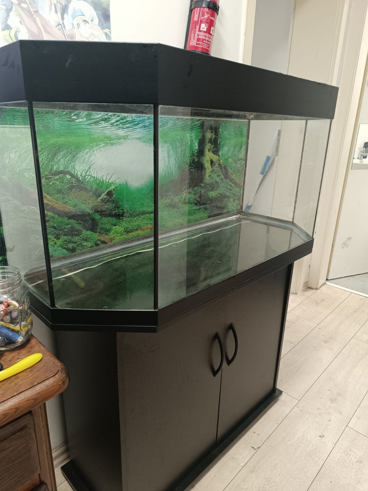Gratis aquarium als paludarium of terrarium, Ophalen of Verzenden, Gebruikt, 75 tot 110 cm, 60 tot 90 cm