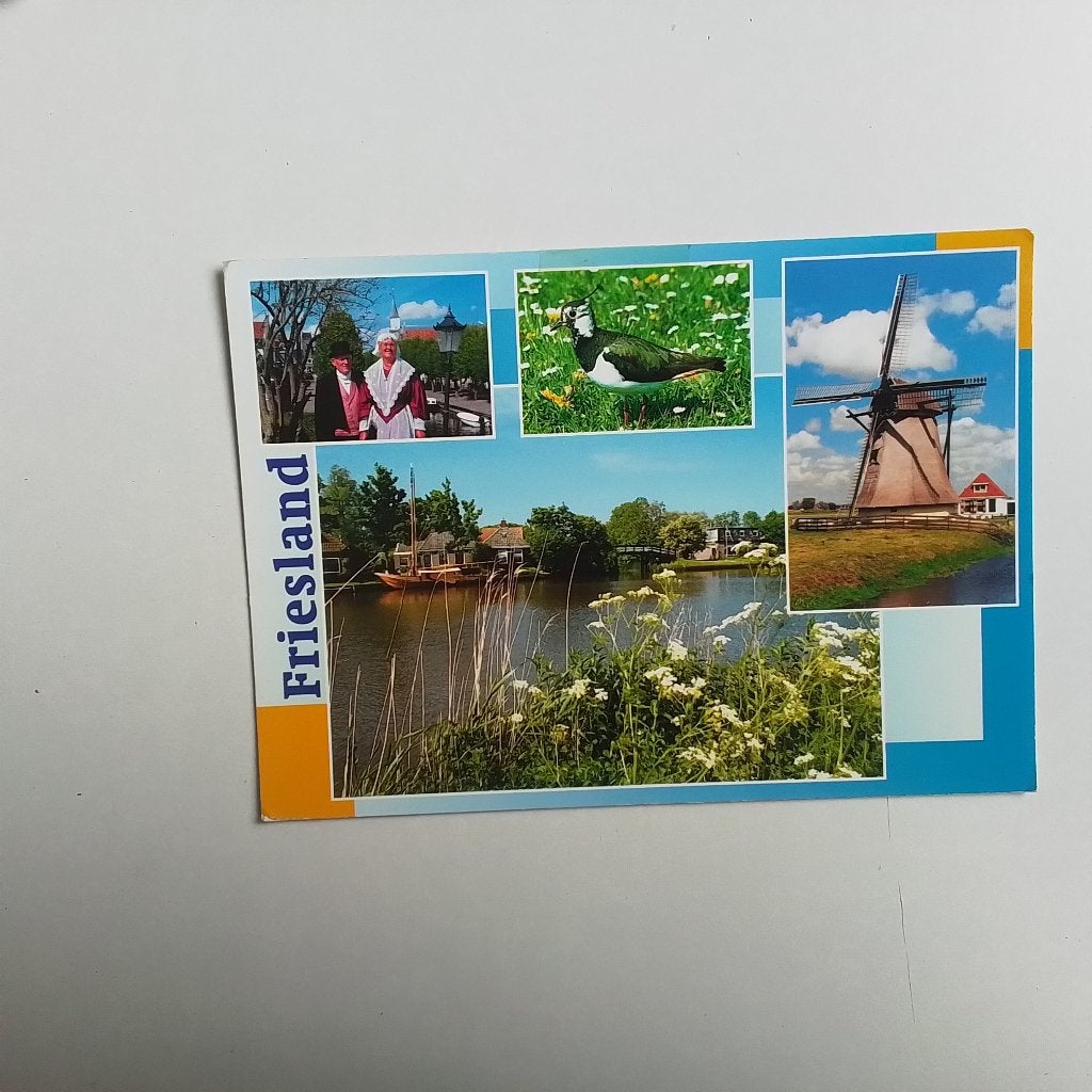 Friesland, Ophalen of Verzenden, Voor 1920, Gelopen, Overige soorten