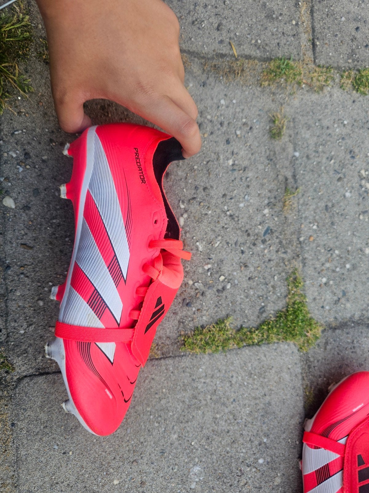 ADIDAS PREDATOR MAAT 39, Ophalen