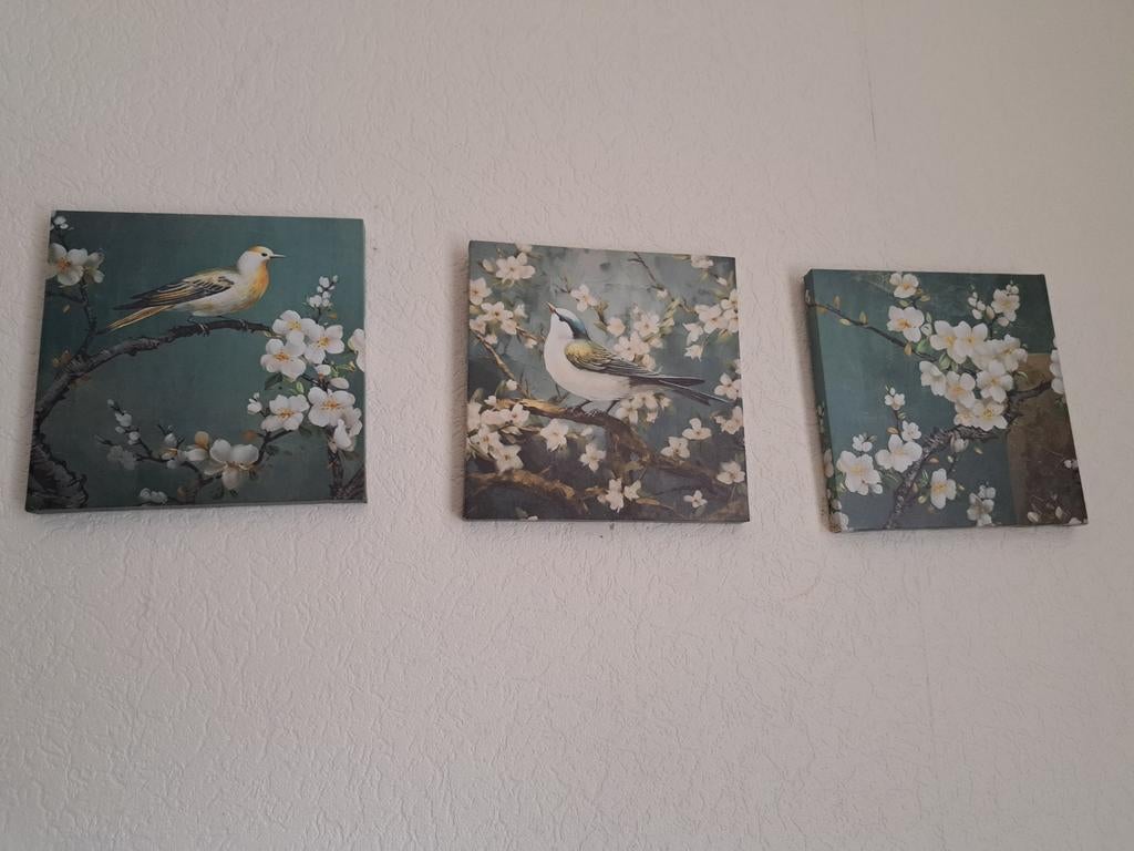 3 vogel afbeelding schilderijtjes, Huis en Inrichting, Woonaccessoires | Schilderijen, Tekeningen en Foto's, Ophalen, Minder dan 50 cm