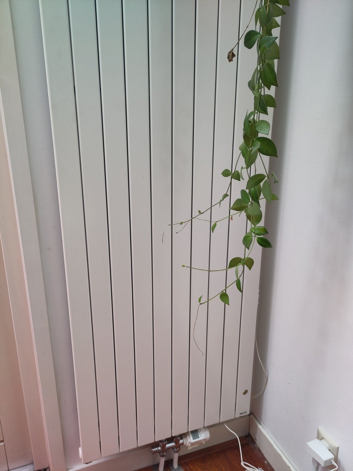 2 radiatoren van 60x220, Ophalen, Gebruikt, Minder dan 30 cm, Cv-ketel of Combi-ketel