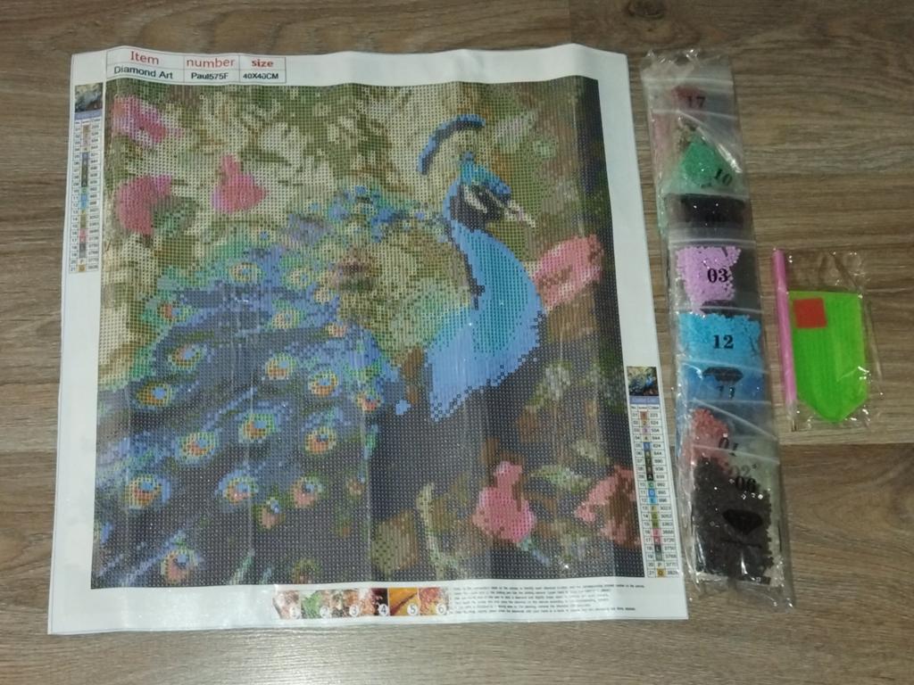 Diamond Painting Pauw - Compleet Pakket 40x40 (Vol Vierkant), Ophalen of Verzenden, Nieuw, Knutselwerk
