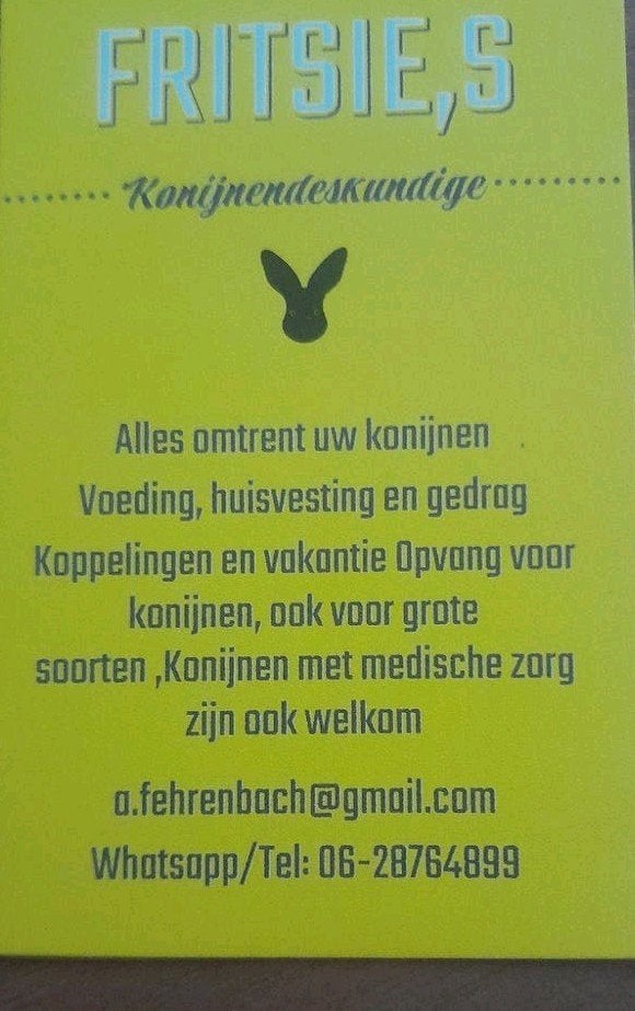 Ervaringsdeskundige met konijnen, Diensten en Vakmensen, Dieren | Overige | Verzorging, Oppas en Les