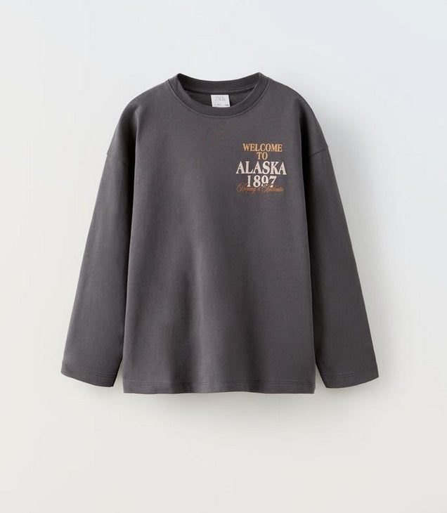 zara shirt 152 bijna nieuw, Ophalen of Verzenden, Zo goed als nieuw, Meisje, Shirt of Longsleeve