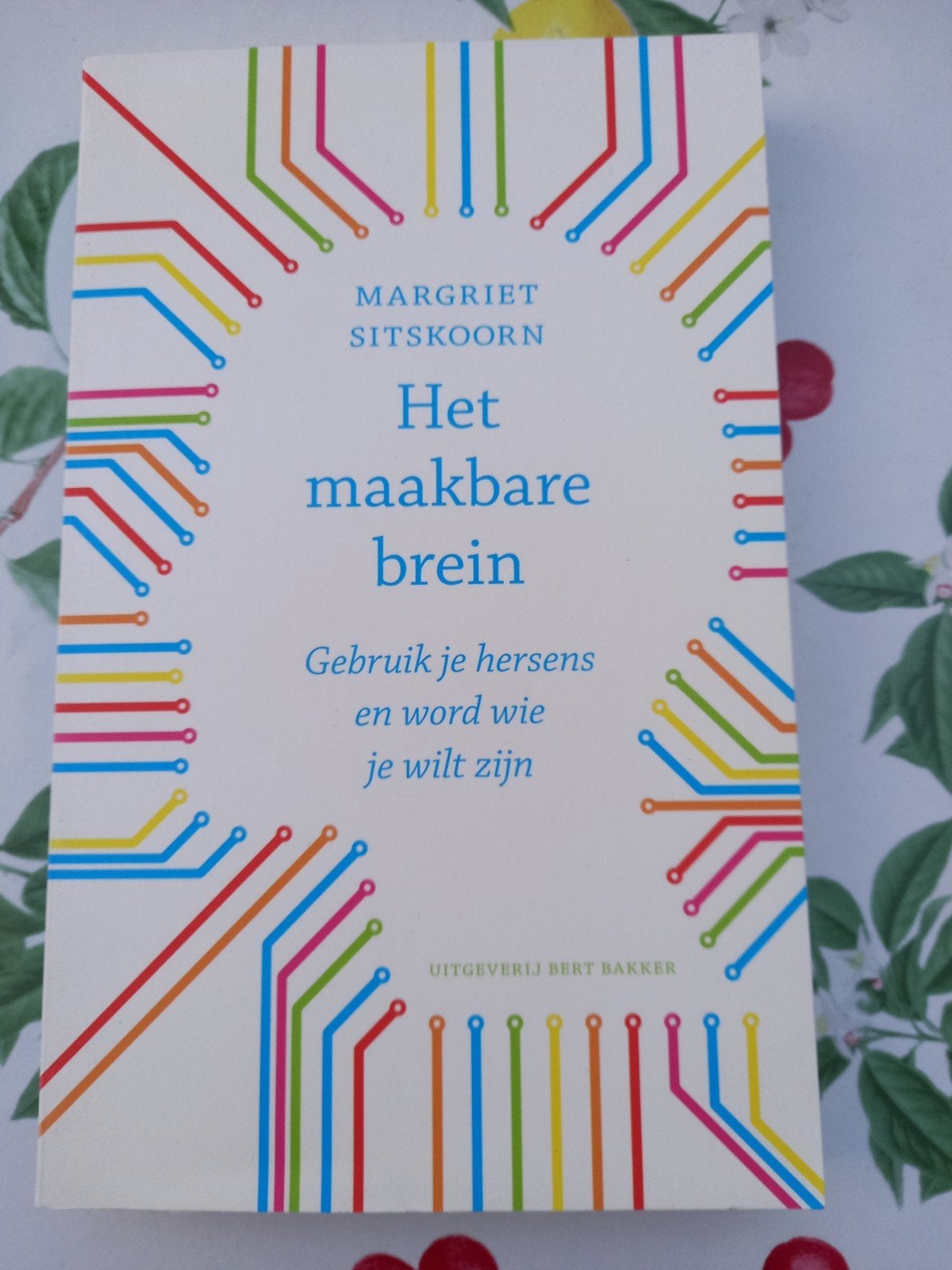 M12 Margriet Sitskoorn - Het maakbare brein, Ophalen of Verzenden, Zo goed als nieuw, Margriet Sitskoorn