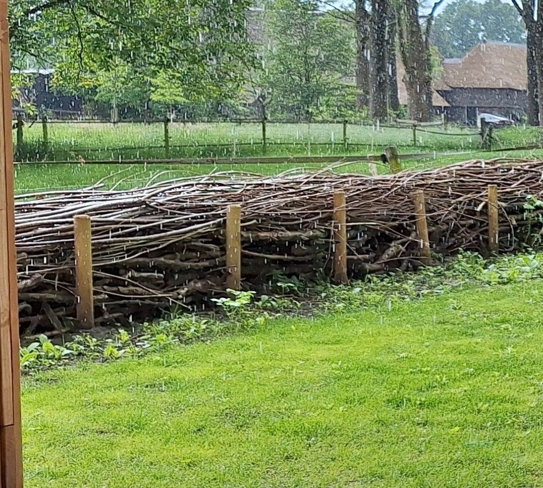 Gezocht: hout voor houtwal, Tuin en Terras, Ophalen