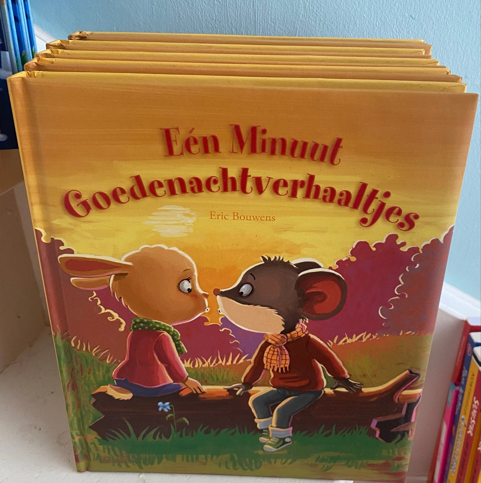 Diverse boeken, Ophalen, Zo goed als nieuw, 1 tot 2 jaar