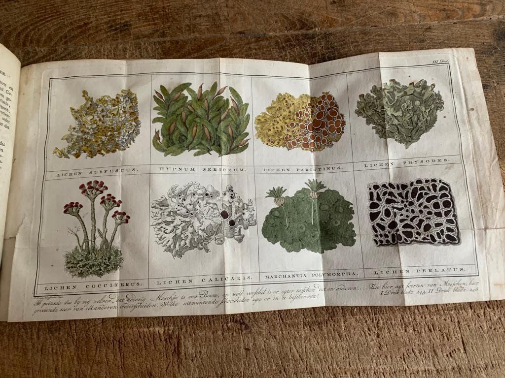 Martinet Katechismus der Natuur 1778 2 delen, Antiek en Kunst, Antiek | Boeken en Bijbels, Ophalen of Verzenden